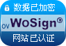 OV SSL认证标识 样板