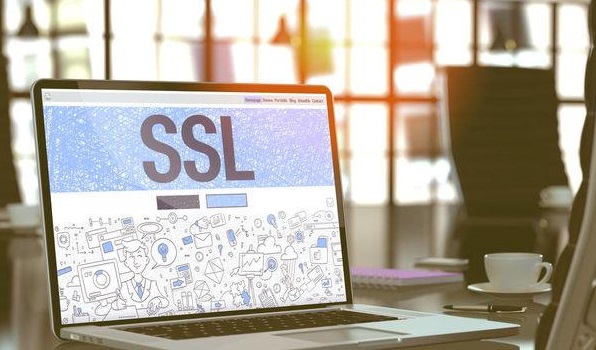 如何保护网站免受流量劫持？