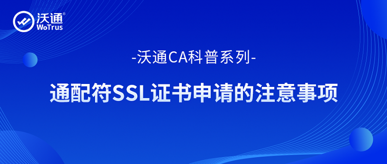 通配符SSL证书申请的注意事项 第1张