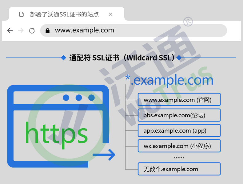 通配符SSL证书申请的注意事项 第2张