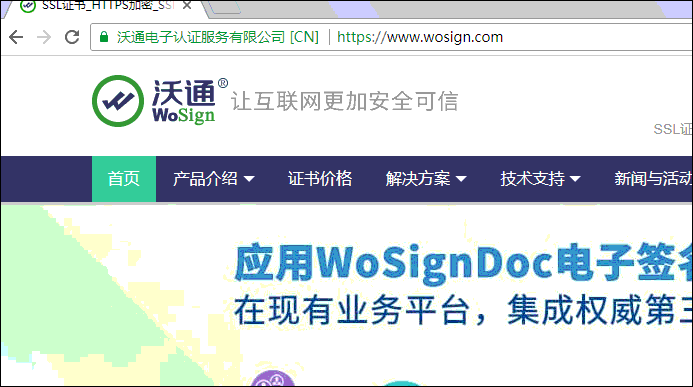 沃通SSL证书