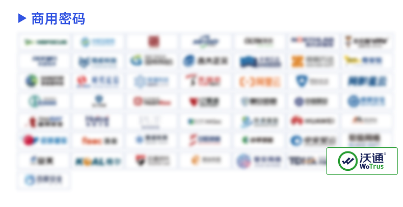 沃通WoTrus实力上榜2024中国网络安全行业全景册 第3张