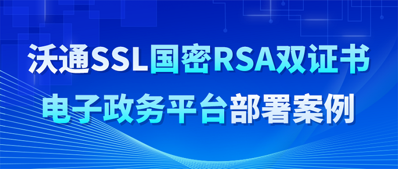 沃通SSL国密RSA双证书，电子政务平台部署案例 第1张