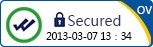 OV SSL安全标识样板