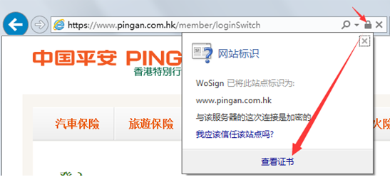 查看SSL证书详情