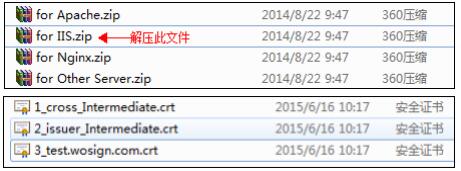 for IIS文件